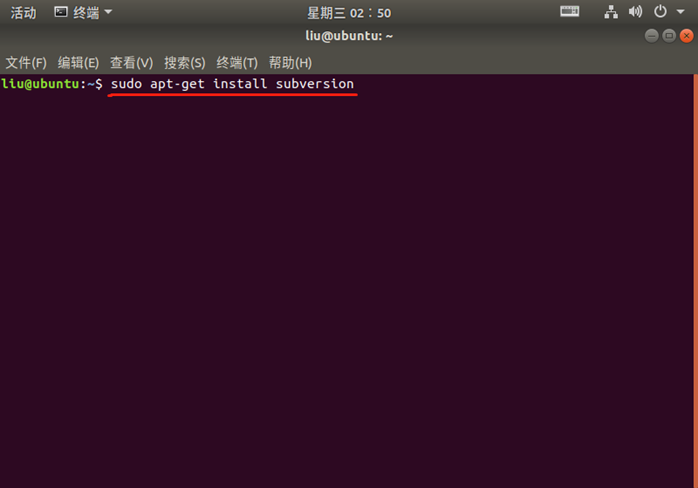 Ubuntu 下安装 SVN 服务端