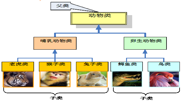 类和对象的高级特征