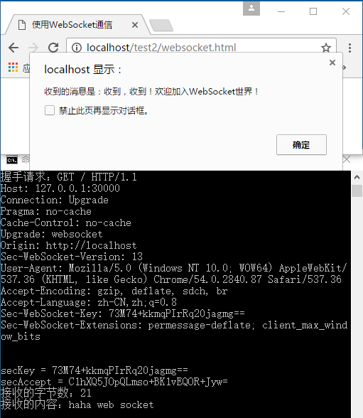 使用WebSocket进行通信的简单应用