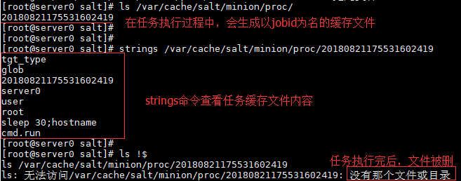 salt中的job