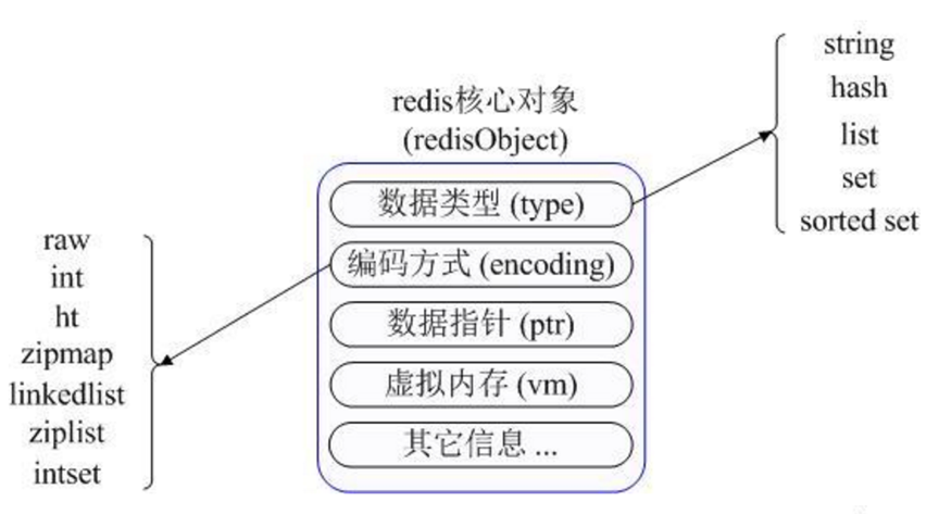 redis中的数据类型及存储结构