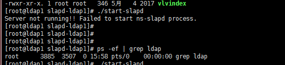ldap服务一直启动失败