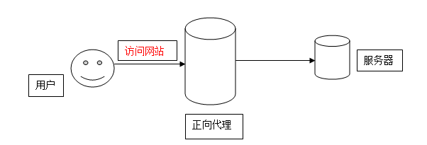 初识nginx