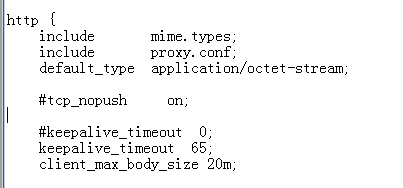 nginx上传文件大小限制（413 Request Entity Too Large错误解决）