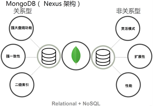 MongoDB入门