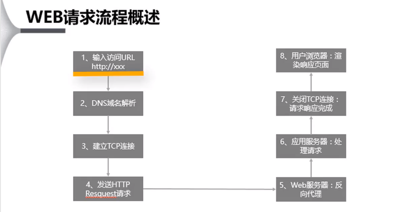 HTTP协议基础学习