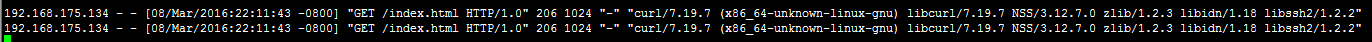Nginx：作为缓存，支持Range回源