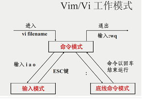 复习测试题（Linux、Maven、Git、Oracle）