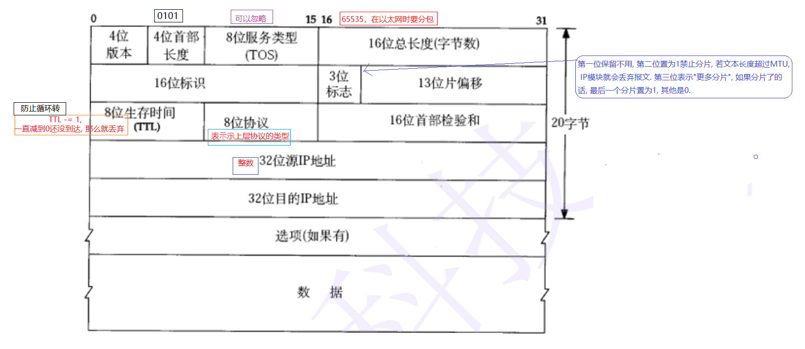 网络基础—网络体系结构浅析