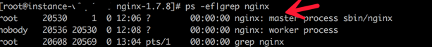 【Nginx】Nginx启停相关操作-【Linux/windows】