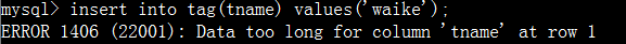 mysql\_1406\_err