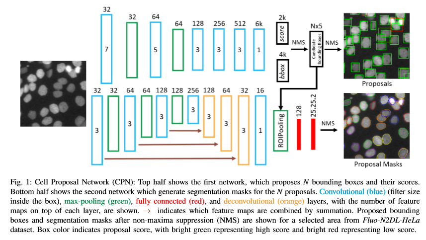 论文笔记之《Cell Tracking via Proposal Generation and Selection》