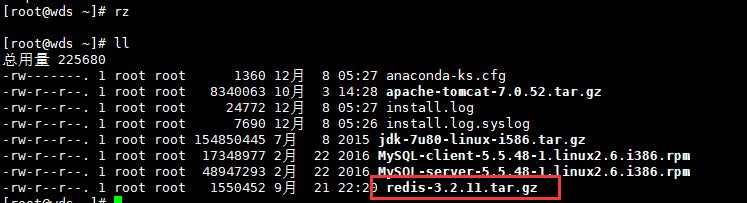 Linux下安装redis