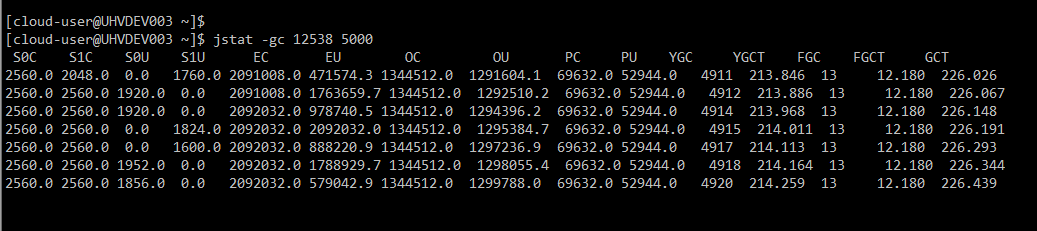 Linux使用jstat命令查看jvm的GC情况