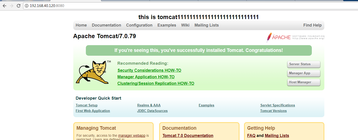 Nginx + tomcat 实现服务集群