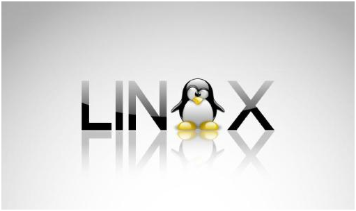 文科生细谈学习Linux系统的重要性