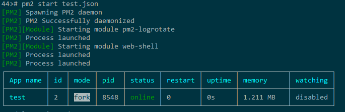 pm2_example_start.png
