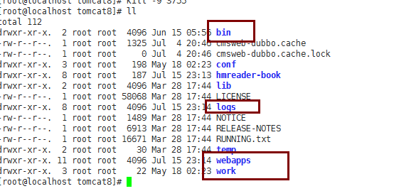 Linux下Tomcat的启动、关闭、杀死进程以及查看日志