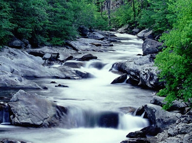 alt River