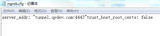 Ngrok配置外网域名-自定义域名和端口--小程序https本地开发必备