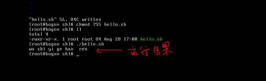 Linux学习笔记-------shell基础