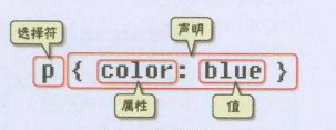 css样本基础,CSS基础