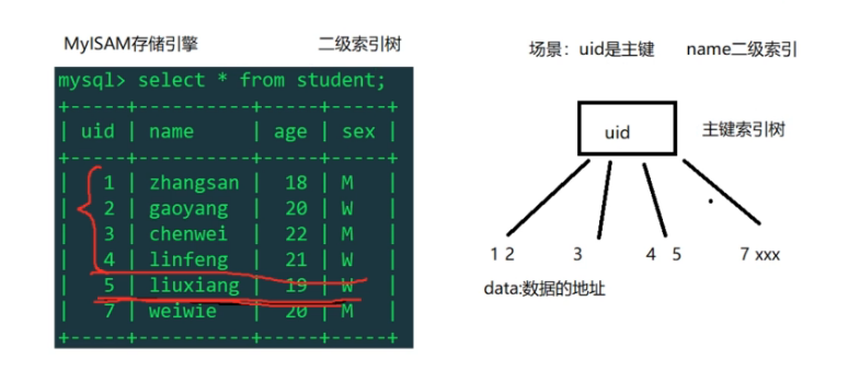 448-MySQL(MyISAM主索引树,二级索引树)