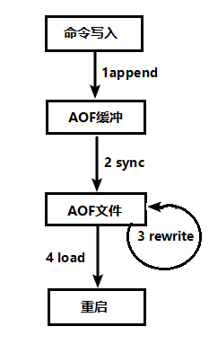 Redis 持久化 AOF