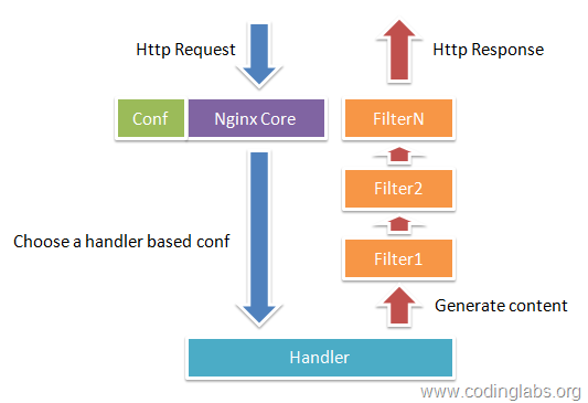 Nginx 工作原理