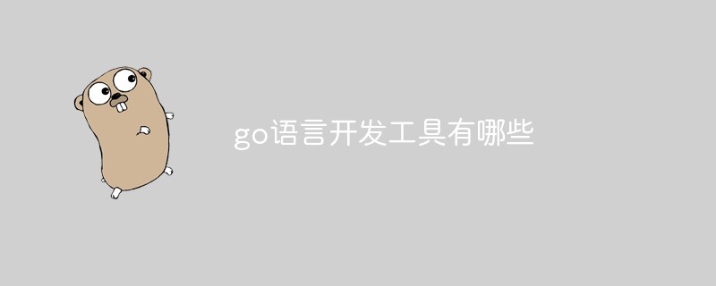 go或者php编程语言,go语言开发工具有哪些