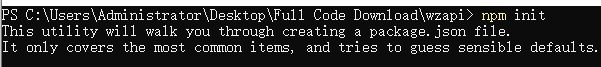 npm init
