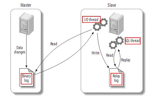 springboot多数据源使用canal同步master数据库