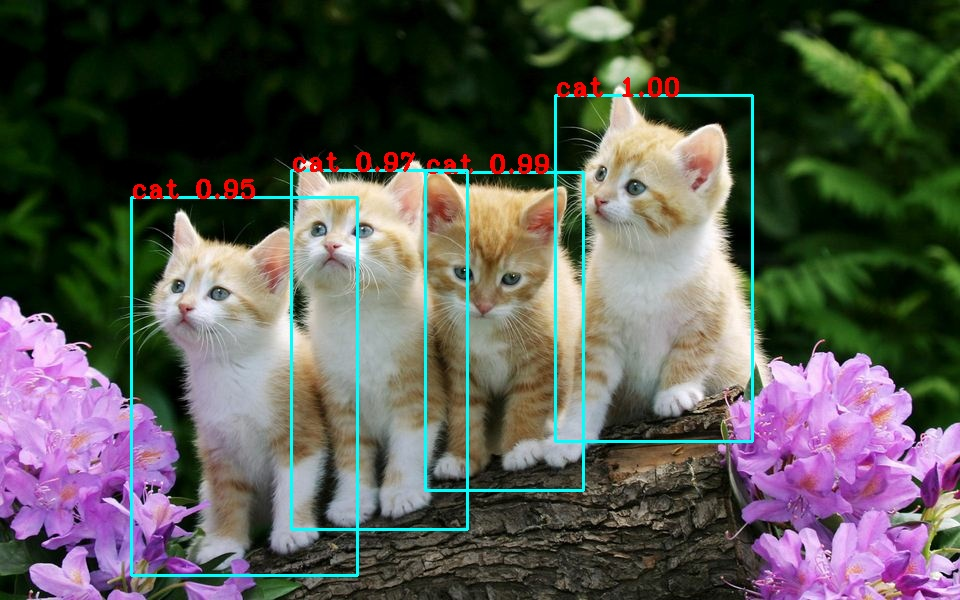 YOLOv3物体/目标检测之实战篇（Windows系统、Python3、TensorFlow2版本）