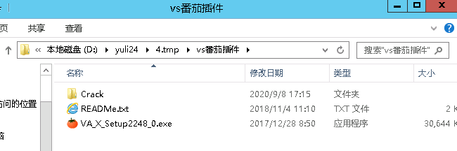 番茄助手Visual Assist X安装备忘