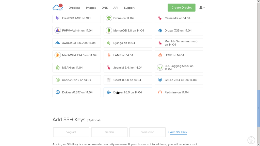 The Docker Image on DigitalOcean