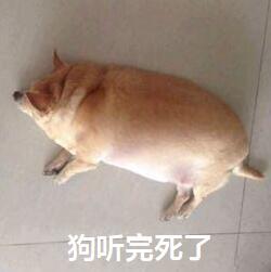 Nginx 启动报错1067或unknown directive “﻿worker_processes“解决方案