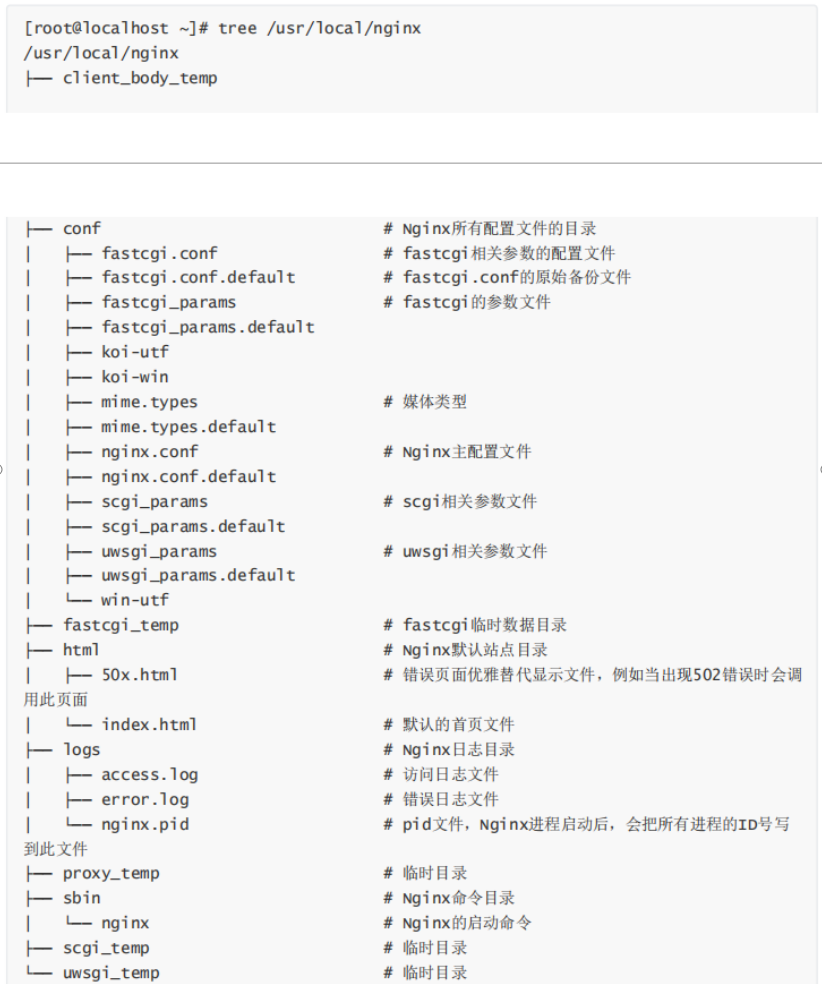 Nginx 基本概念(反向代理、动静分离、负载均衡、高可用)、安装配置（JDK\Tomcat\Nginx\Keepalived）、配置实例效果