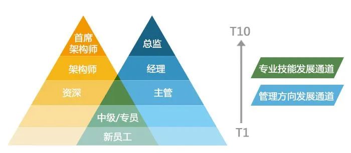 程序员高薪盛宴背后：程序员正在消失？