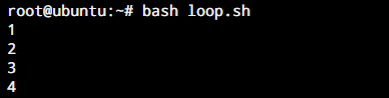 While Loop Iteration