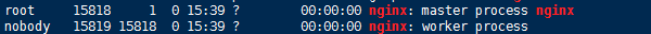 Nginx的进程模型
