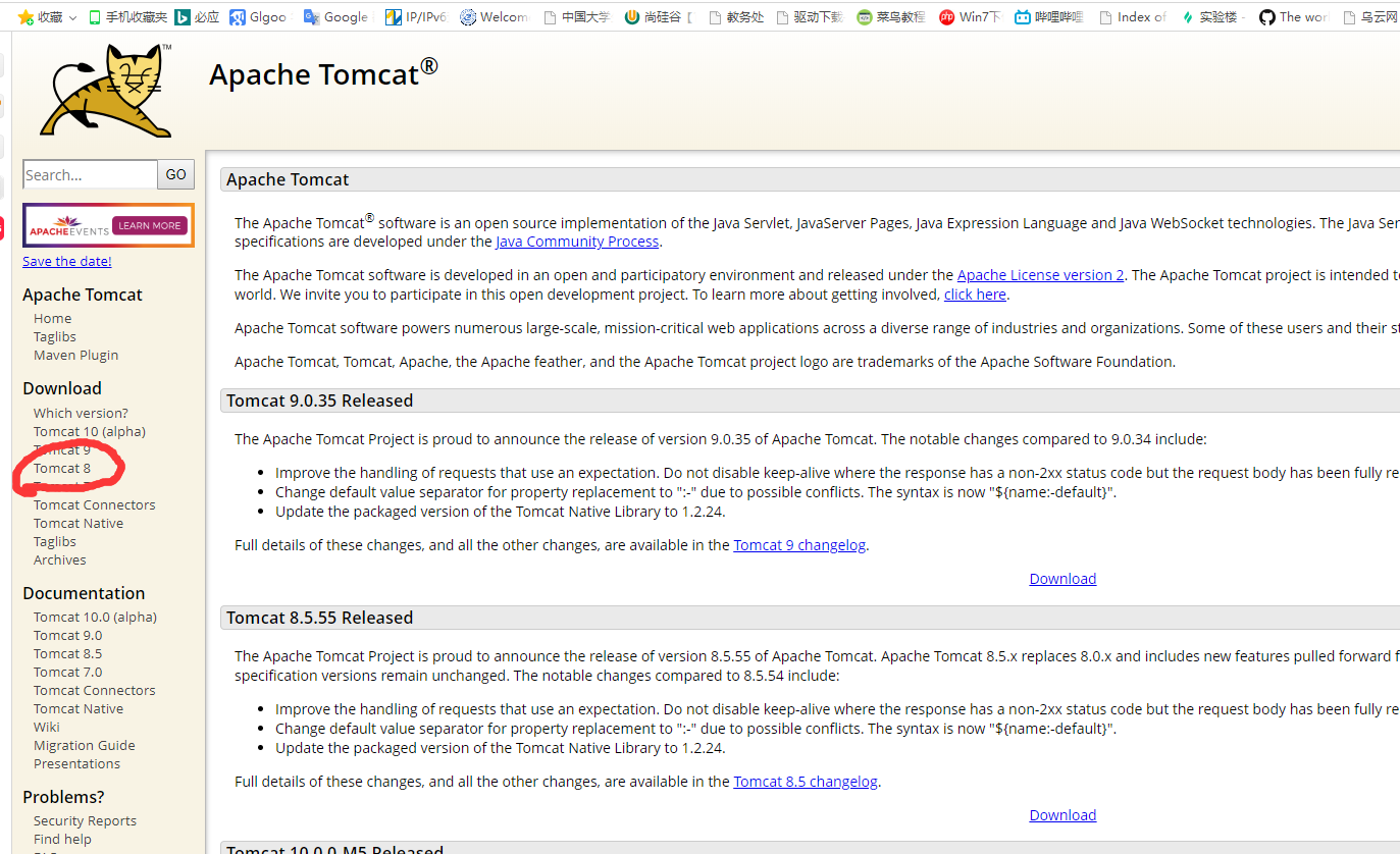 JAVAEE01:环境的安装(如何部署web服务器Tomcat，附一些bug的解决方式)