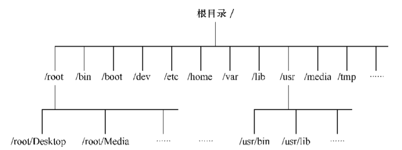 Linux 中的存储结构与磁盘划分