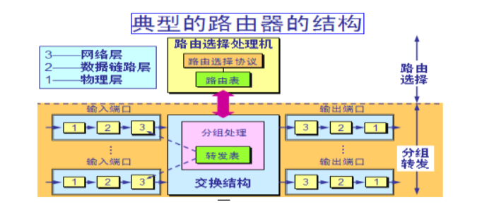 成天路由器，路由器究竟是什么