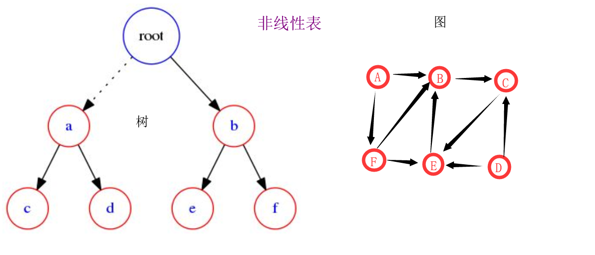 数据结构与算法：2.数组