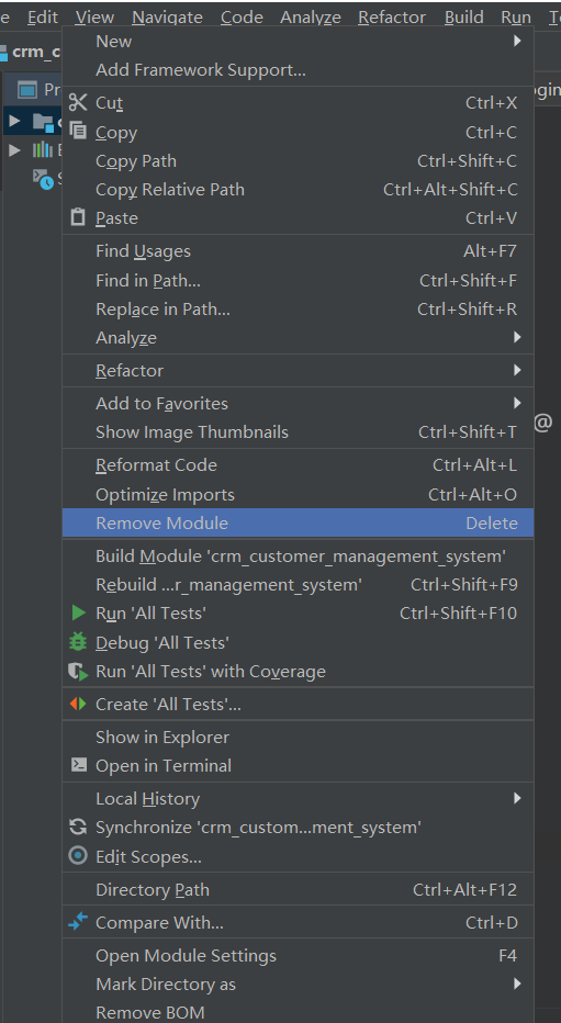 idea右键项目没有git 【解决方法】