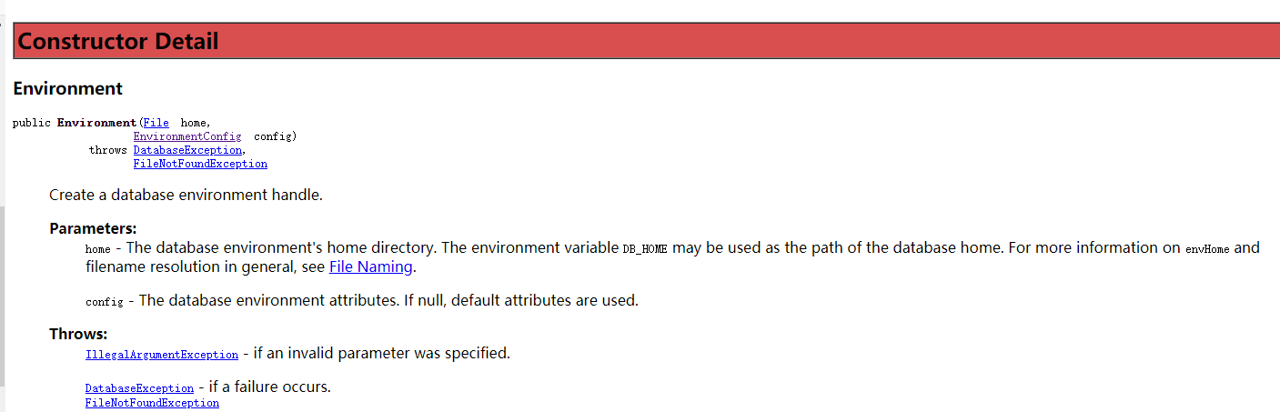 BerkeleyDB 启动报错com.sleepycat.je.DatabaseException: The Environment directory is not writable问题