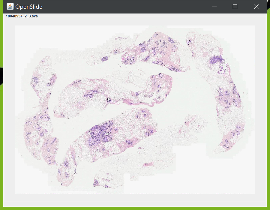运行openslide-java官方示例